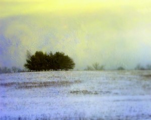 SilverandGold-web