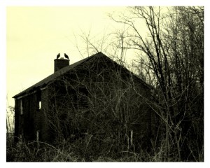 8x10-ConspiracyTheory-PRINT