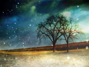 Celestial-web