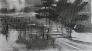 Flag Hill 1