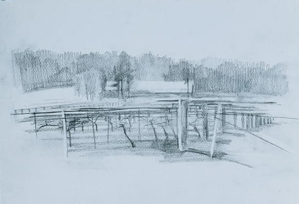 winery 1