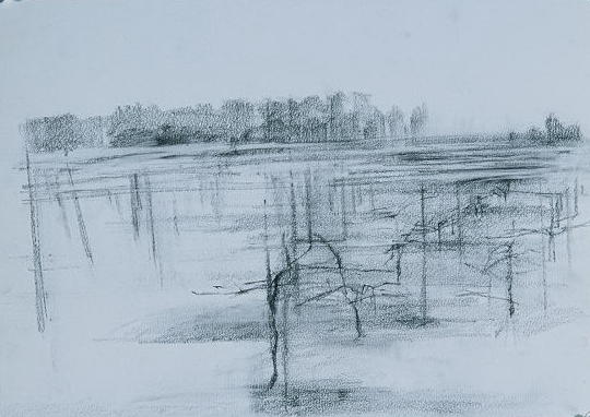 Sketches